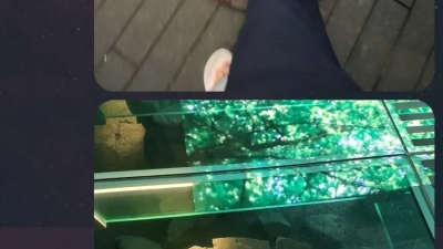 엄마와 아들 카톡