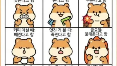 한국인 표현 특