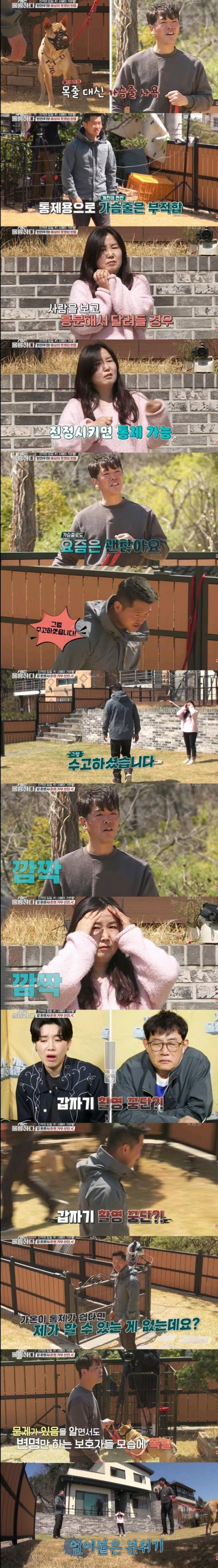 개물림 사고 대부분의 원인