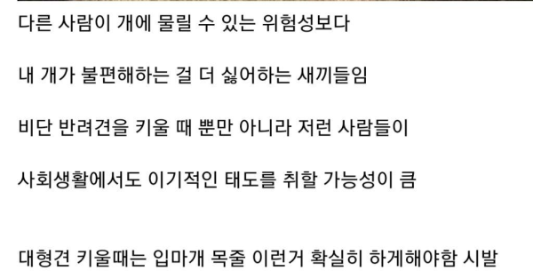 개물림 사고 대부분의 원인