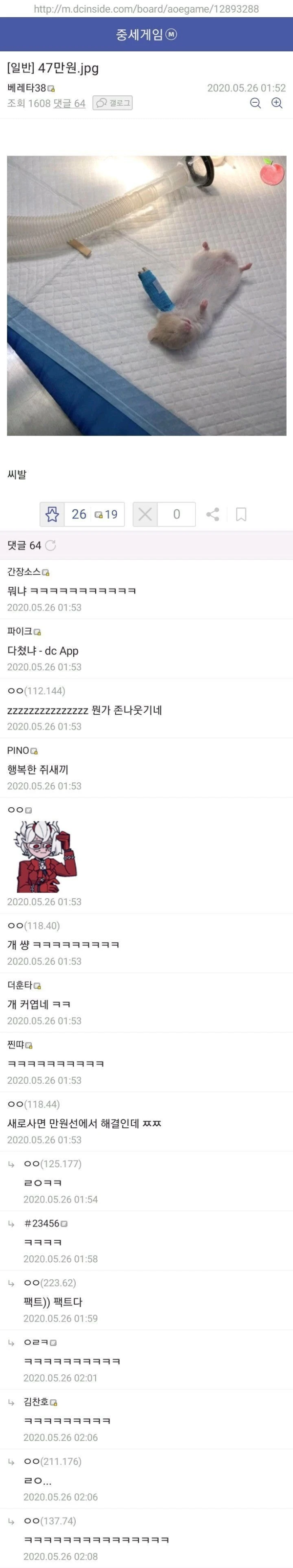 햄스터 병원비를 본 네티즌들 반응 모음