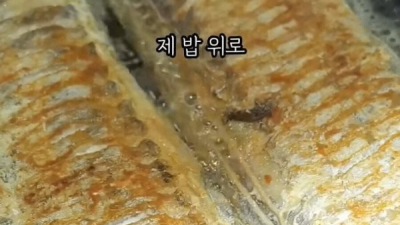 생선 뼈 발라주던 전 남친