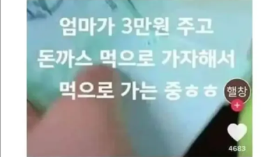 엄마에게 사기당한 잼민이