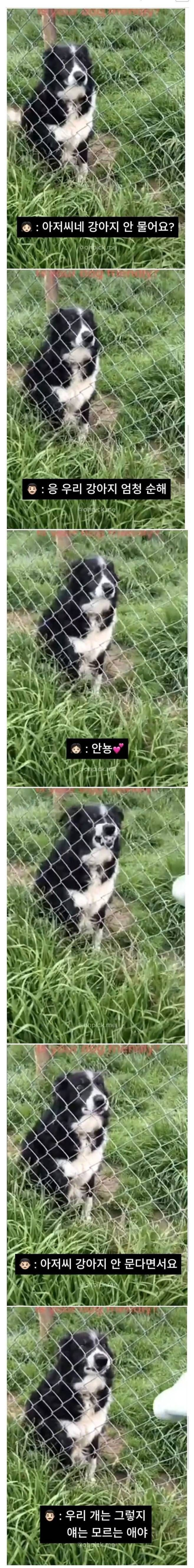 아저씨네 강아지 안 물어요?