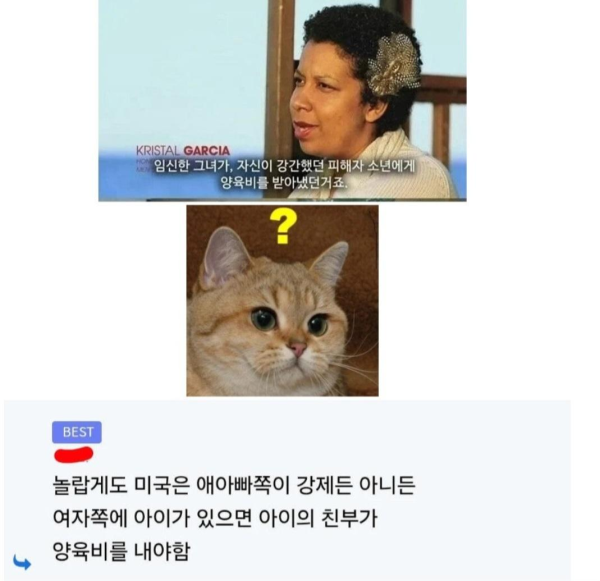 미국의 임신공격