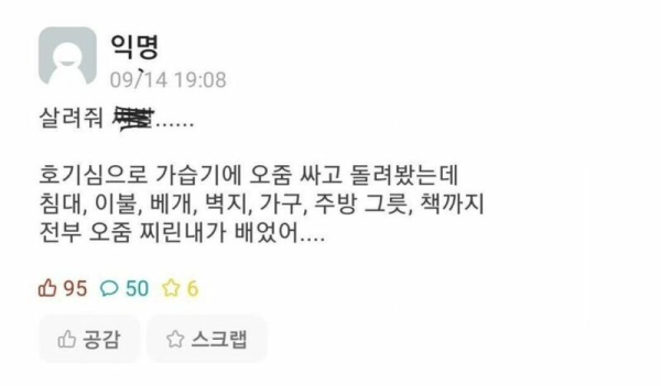 호기심 때문에 대참사 난 대학생