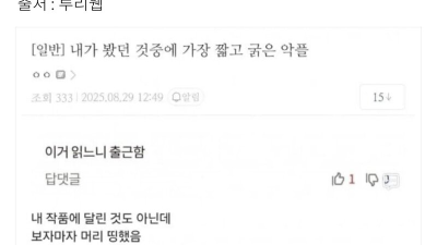 웹소설 작가가 충격먹은 악플