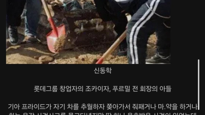 재벌2세 양아치가 사고쳐도 이해해줬던 사건