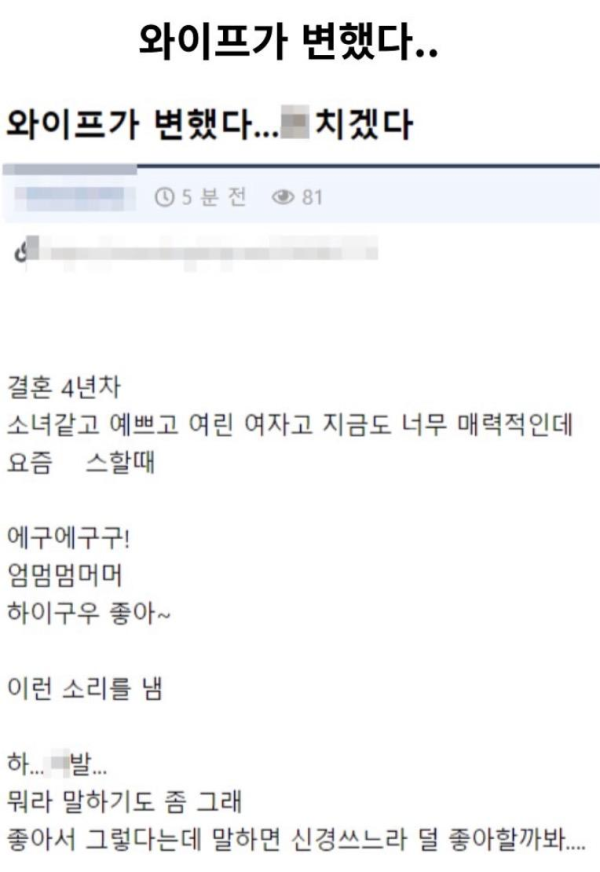 와이프가 변했다는 디시인