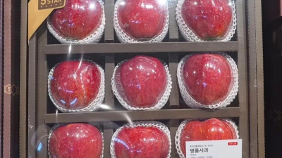 5스타 명품 사과 가격