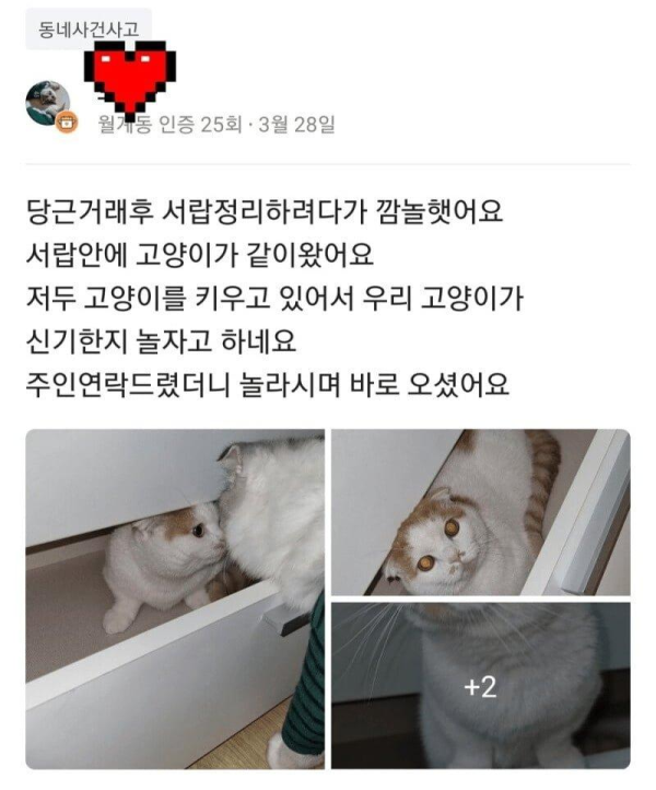 당근마켓 사은품