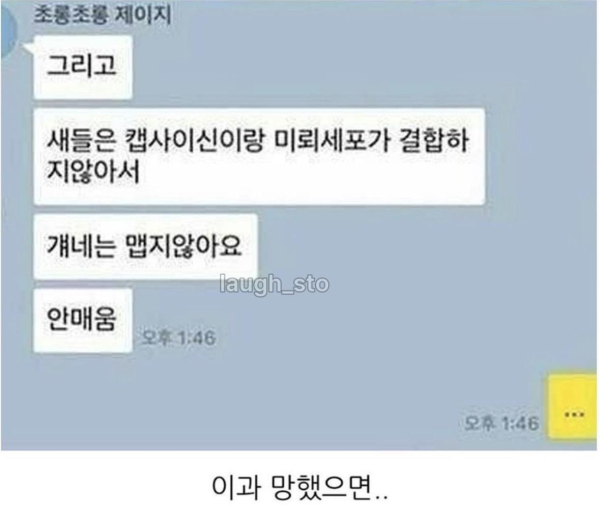 매가 불닭볶음면을 먹으면?