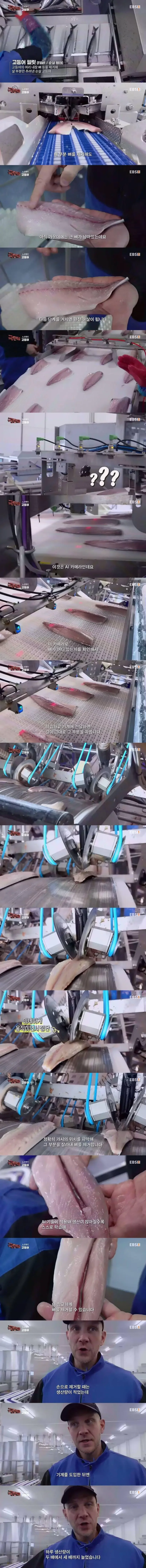 노르웨이에서 고등어 가시 제거하는 방법