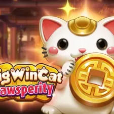 빅윈 캣 파우스페리티