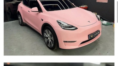 차박이한테 ㄱㄱ당한 테슬라