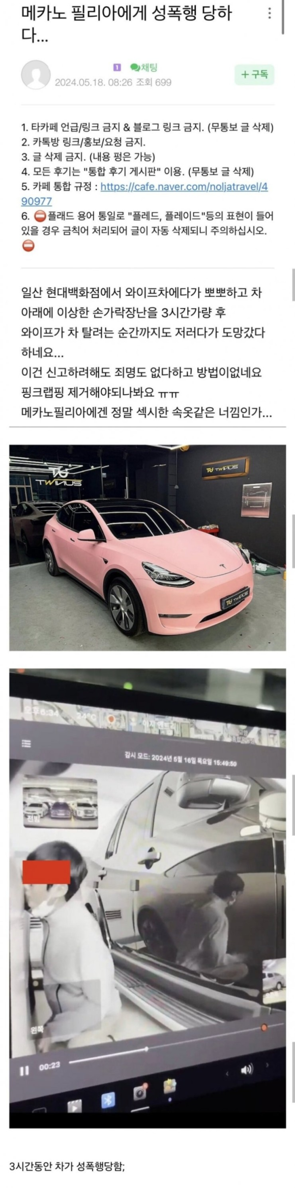 차박이한테 ㄱㄱ당한 테슬라