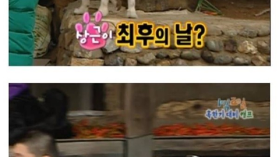 지금은 상상도 못할 1박2일 전성기 시절