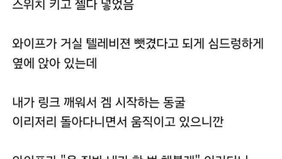 아내에게 스위치 빼앗긴 남편