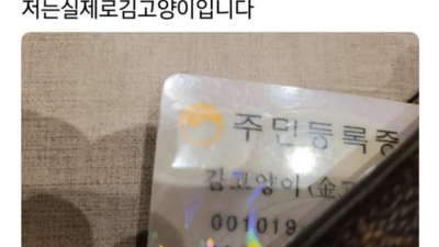 레어닉 가진 한국인 모음