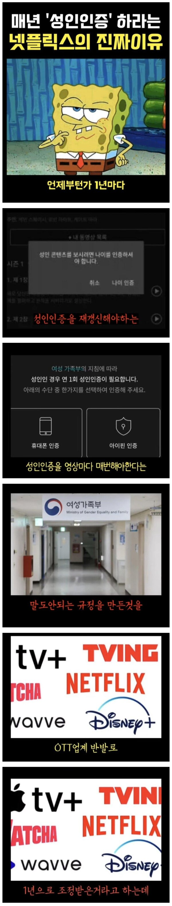 매년 성인인증 하라는 넷플릭스의 진짜 이유