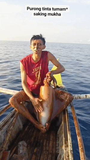 오징어를 쓰다듬었더니 생긴 일