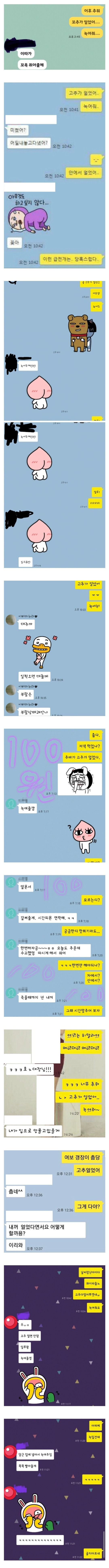 겨울에 자주 보인다는 부부의 카톡내용