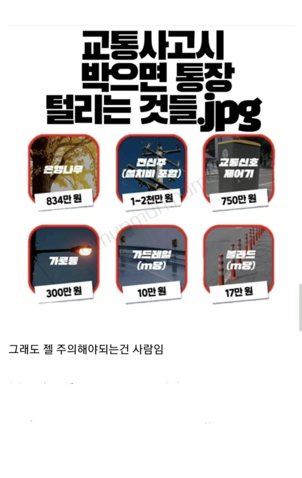 박으면 통장 거덜나는 것들