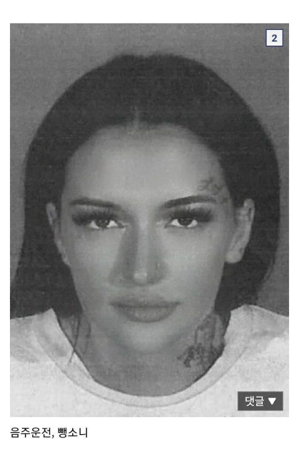 여성 범죄자 머그샷 모음