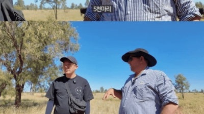 호주산 소고기가 싼 이유