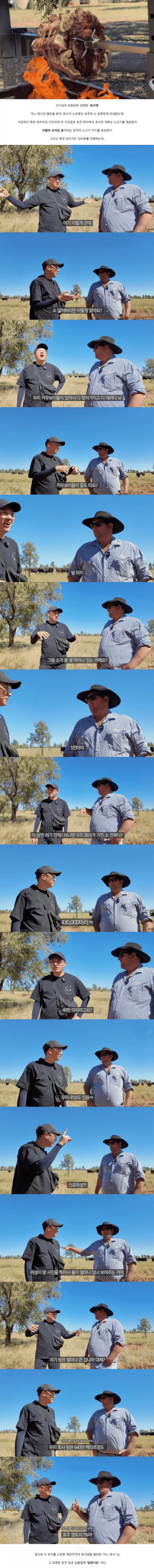 호주산 소고기가 싼 이유