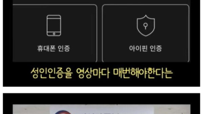 매년 성인인증 하라는 넷플릭스의 진짜 이유