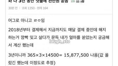 넷플릭스에 천만원 쓴 사람의 진실