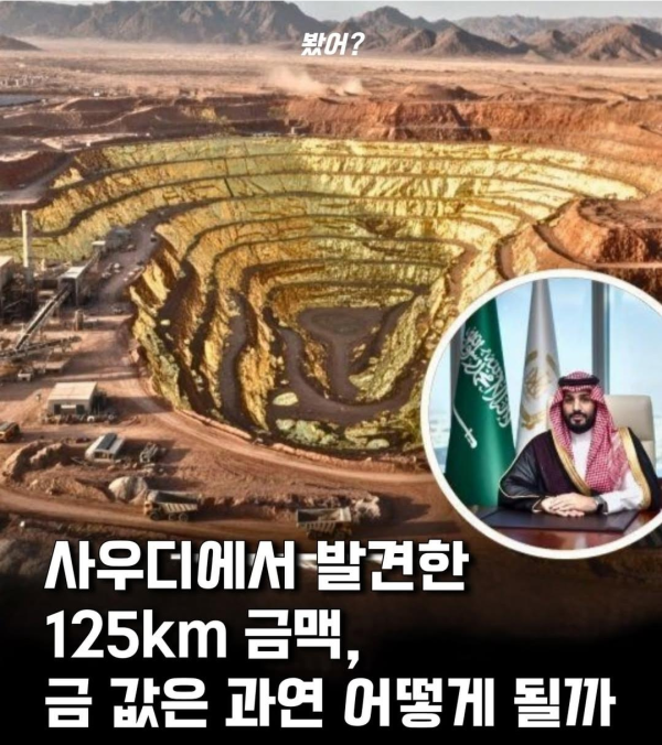 사우디에서 발견된 금맥