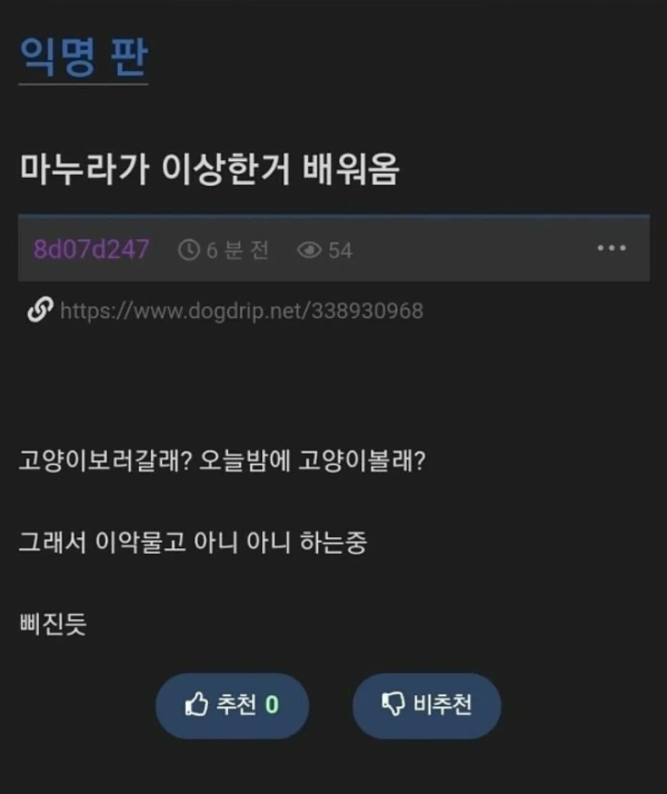 이상한거 배워온 마누라