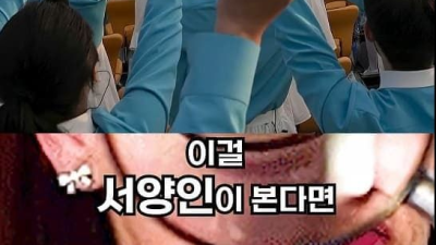 중국 모델이 욕먹은 이유