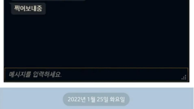 롤하다 도망간 이유