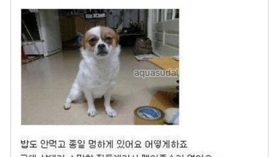이루어 질 수 없는 사랑