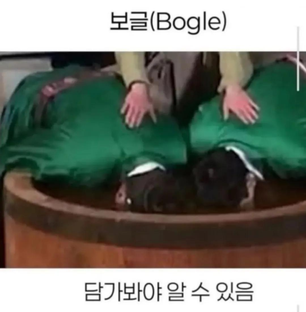 조선 3대 검색엔진