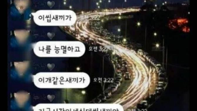 새벽에 친누나 카드를 몰래 쓴 결과