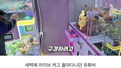 우연히 실종자 찾은 유튜버