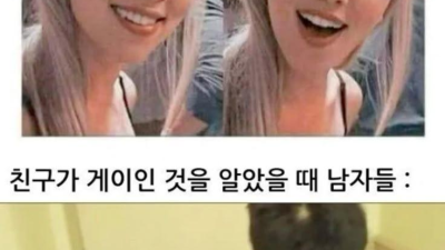 친구가 동성애자인 걸 알게된 반응 남녀차이