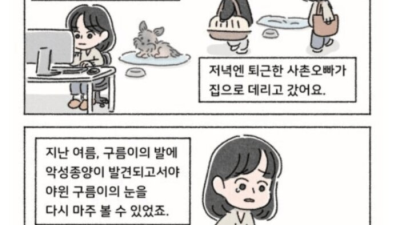 작가가 대놓고 욕해달라고 올린 인스타 사연툰