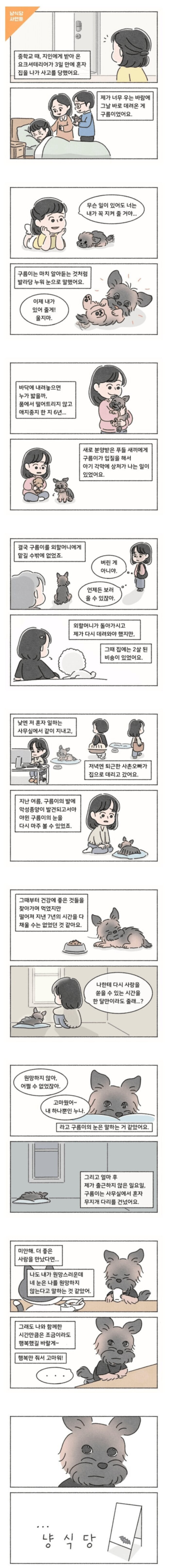 작가가 대놓고 욕해달라고 올린 인스타 사연툰