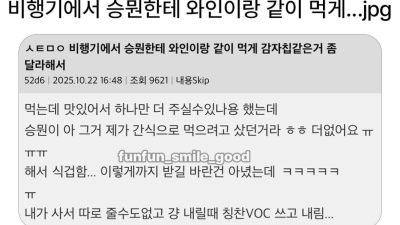 승무원한테 간식 추가 요구했는데