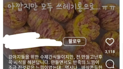 현재 논란인 인스타그램 마케팅