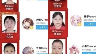 충격적인 중국 버튜버 실물