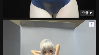 사촌동생 온다해서 피규어 숨긴 디시인