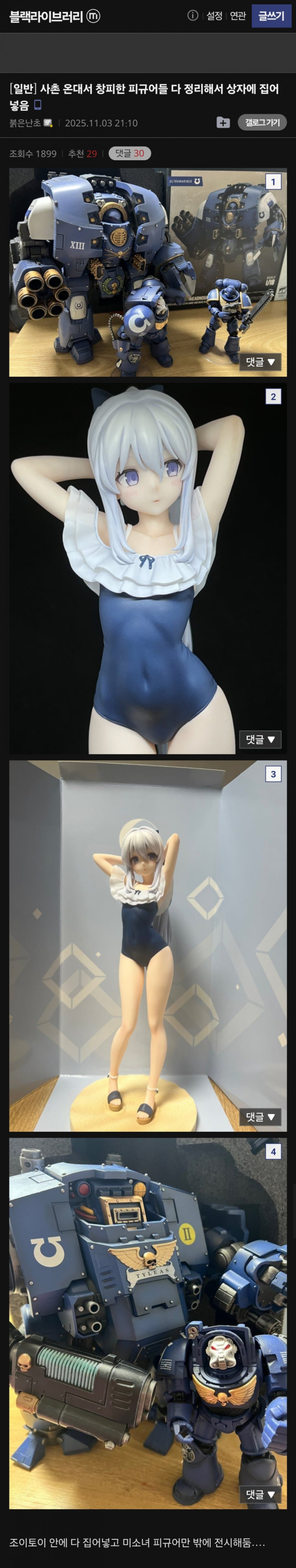 사촌동생 온다해서 피규어 숨긴 디시인