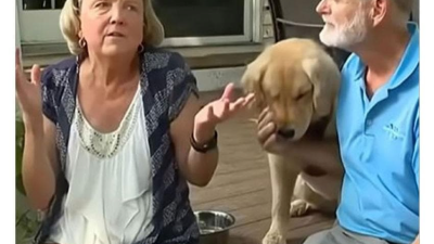 미용실 다녀온 후 표독해진 골댕이