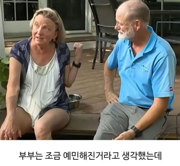 미용실 다녀온 후 표독해진 골댕이